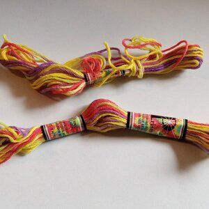 🎯 10 for $12 / 2 Prism Multi Colored Floss